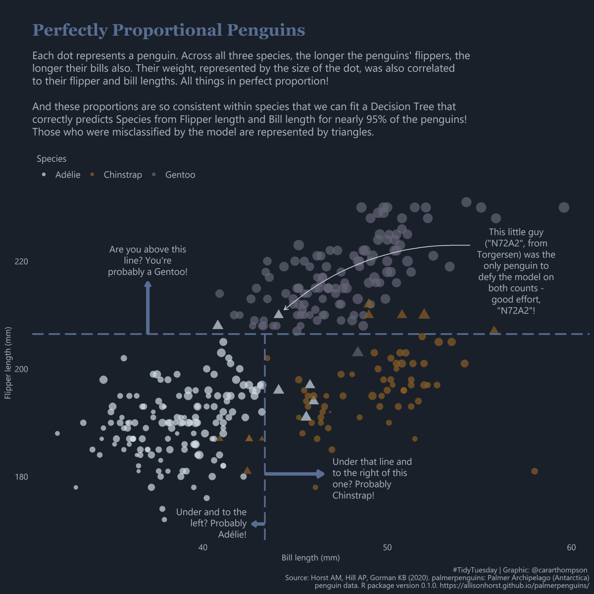 Scatter plot visualises penguins by species with flipper and bill lengths. Adelie, Chinstrap, and Gentoo represented by colour-coded dots; triangles indicate model misclassification. A decision tree model classifies 95% correctly, highlighting one notable exception.